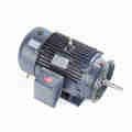 Marathon 25 Hp Close-Coupled Pump Motor, 3 Phase, 1800 Rpm, GT3128A GT3128A